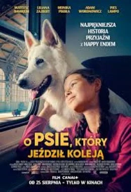 Wakacyjna środa:O psie,który jeździł koleją